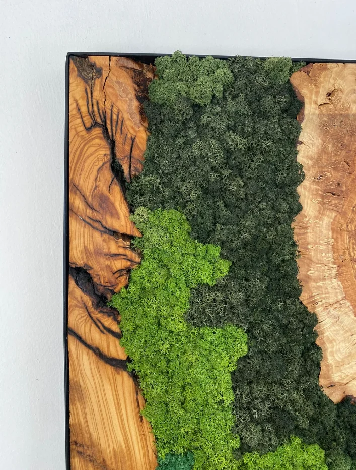 Custom Made Moss And Olive Wood Wall Art, Olive Wood And Moss Wall Art (2)