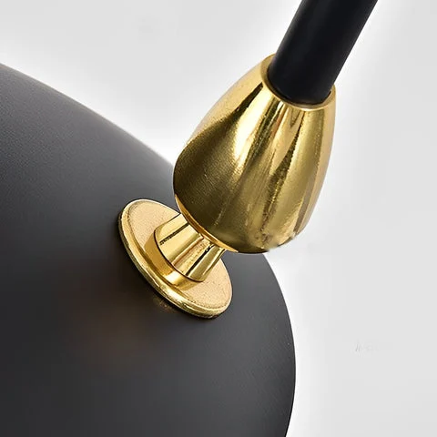 Dazuma Creative Duckbill Black Modern Ceiling Lamp