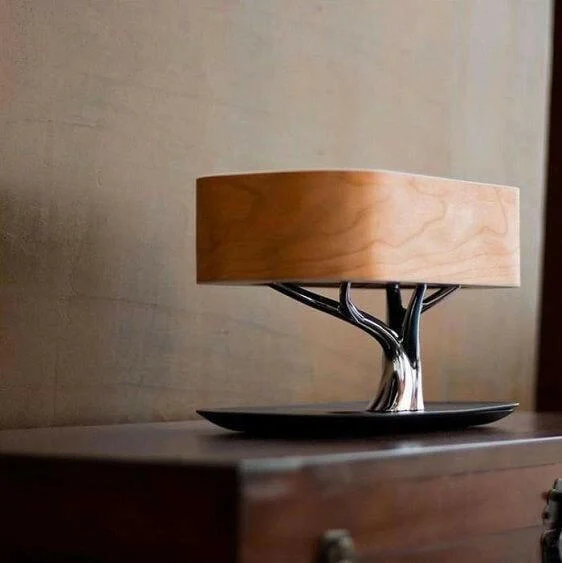 Light Of Life-Homelova