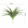 50 leaf red edge grass