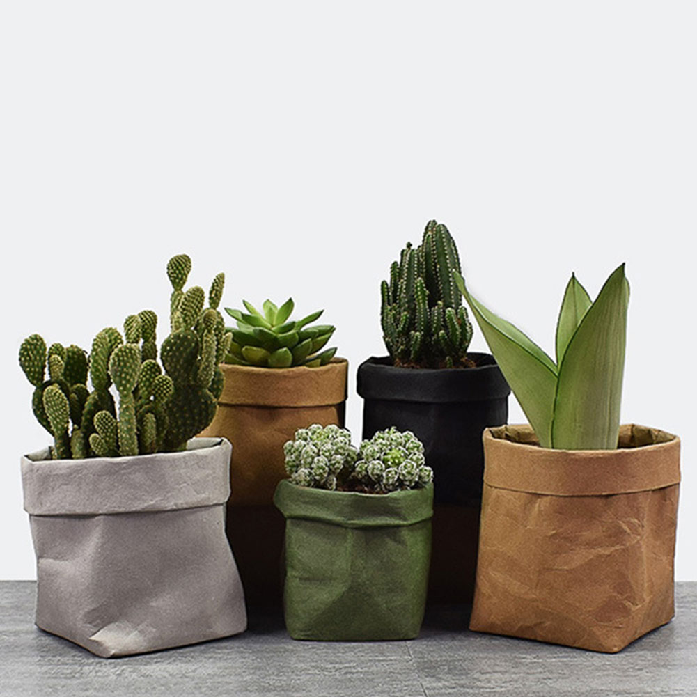 Stylish Paper Planters for Modern Decoration-Homelova