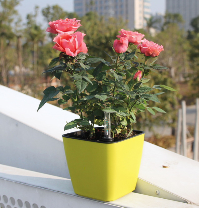 Flower Pot with Irrigation System - Self - Watering Plant Pot for Indoor and Outdoor Use-Homelova