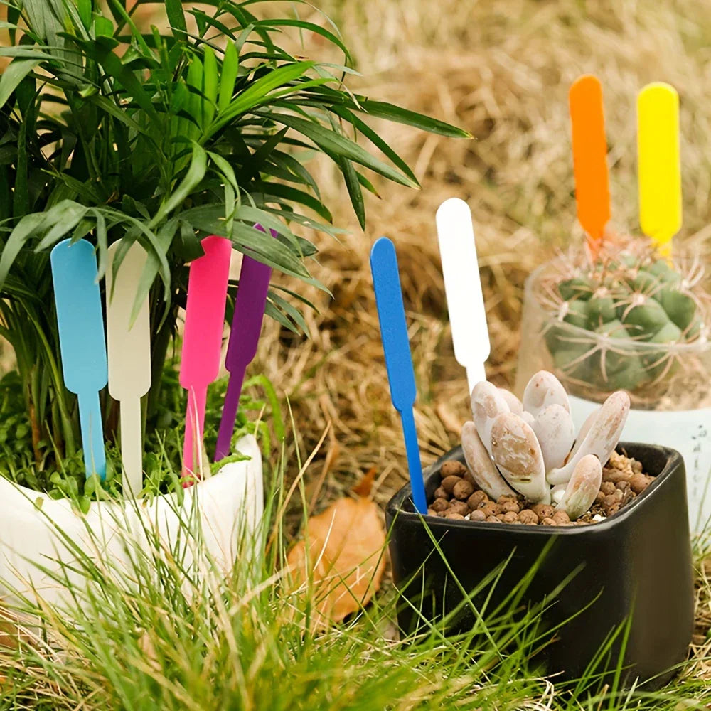 Coloured Plastic Plant Plugs - Weatherproof & Rewritable-Homelova