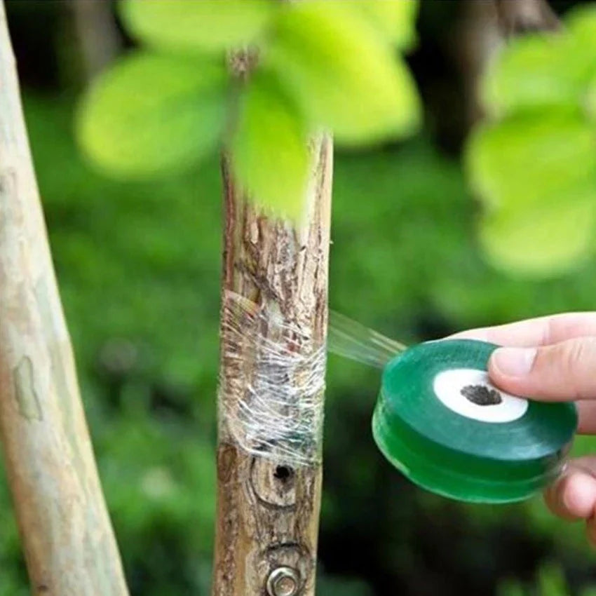 Grafting Tape for Plants - Self - Adhesive Grafting Tape for Pruning and Grafting-Homelova