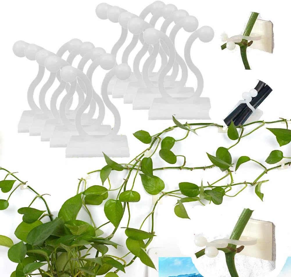 Climbing Wall Fastening Clips - Practical Plant Holders for Wall Decoration-Homelova
