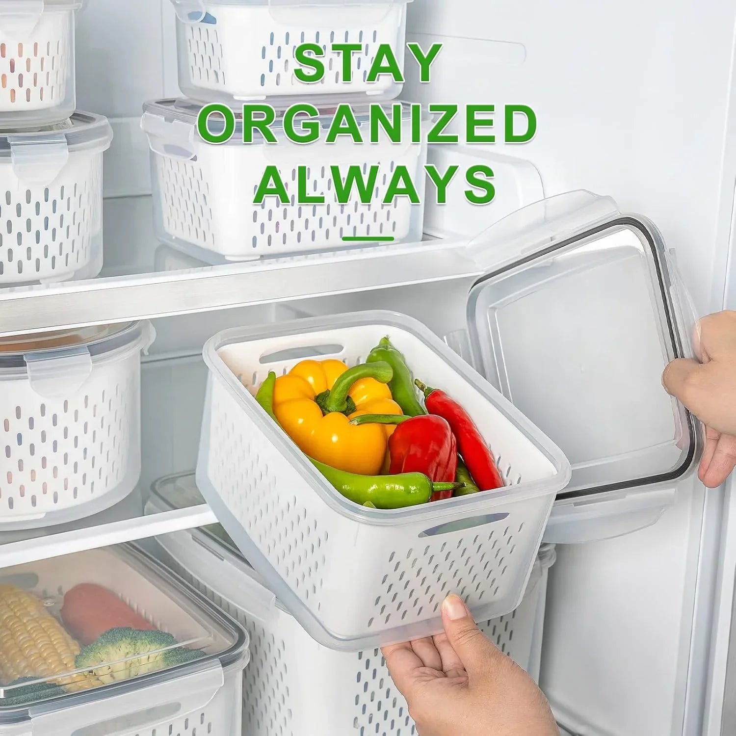 5 - Piece Large Food Storage Set with Lids - Freshness - Preserving and Practical-Homelova