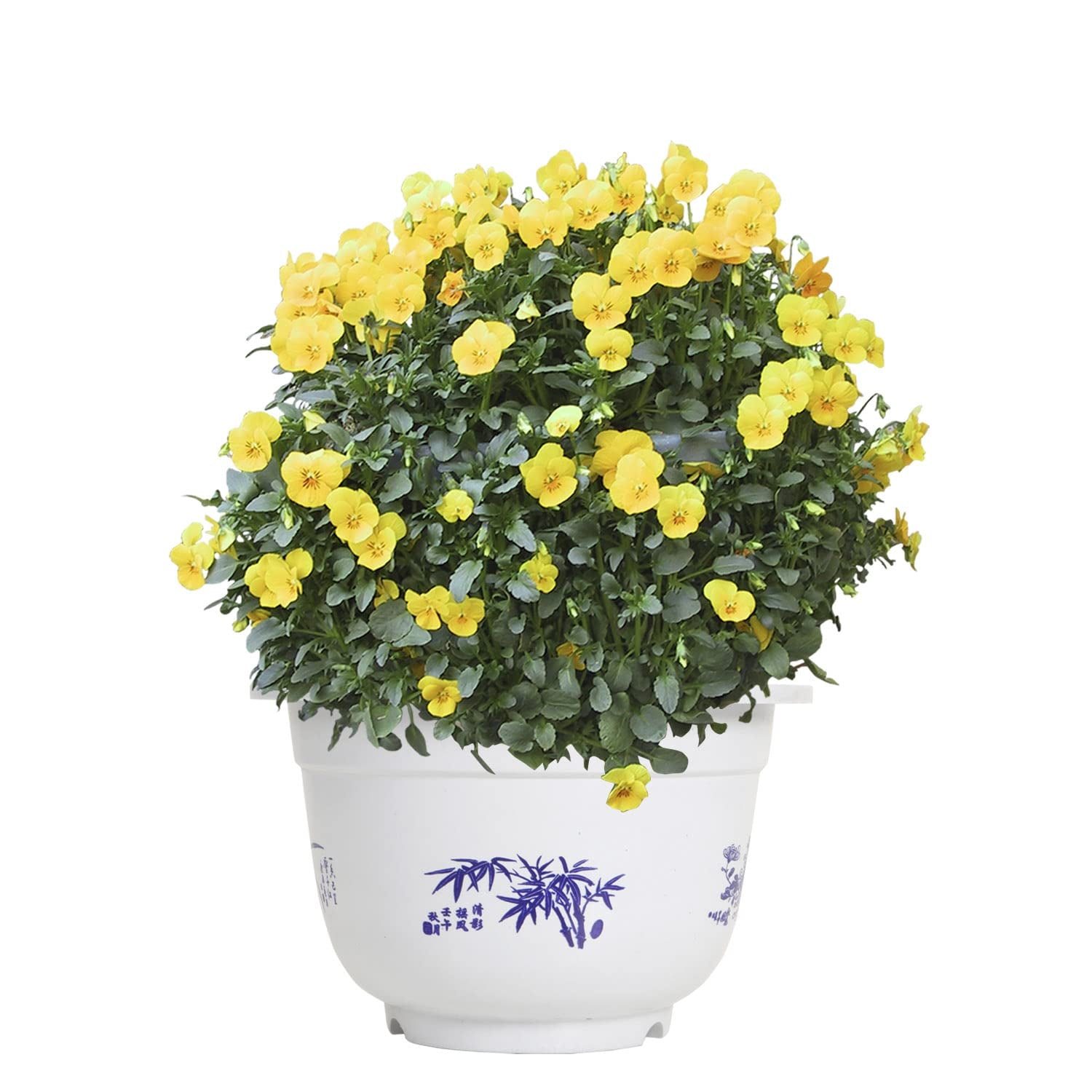 Plastic Flower Pot with Bamboo Motif - Elegant Plant Pot for Balcony and Garden-Homelova