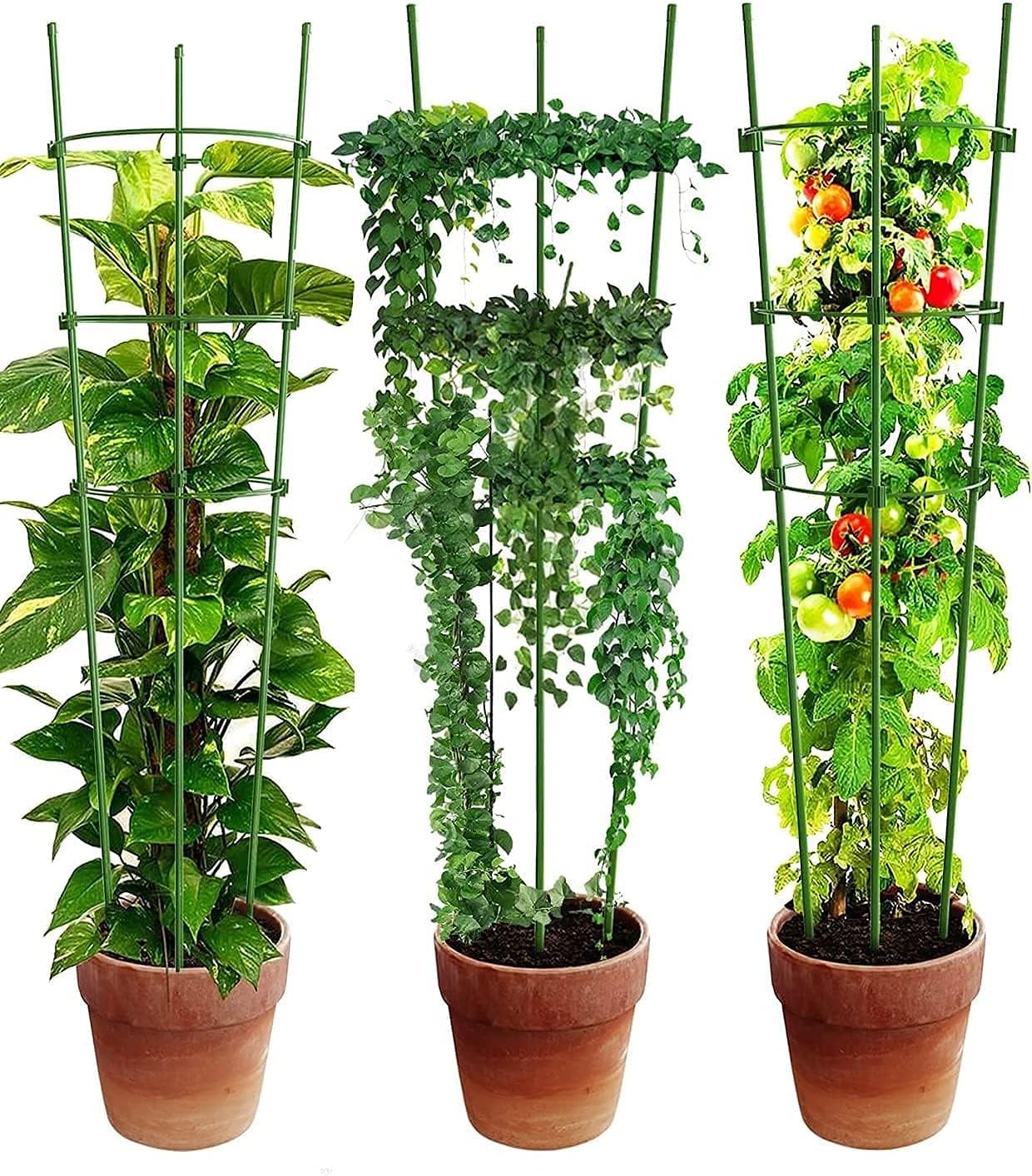 Climbing Frame for Plants - Stable Support Ring Frame for Climbing Plants-Homelova