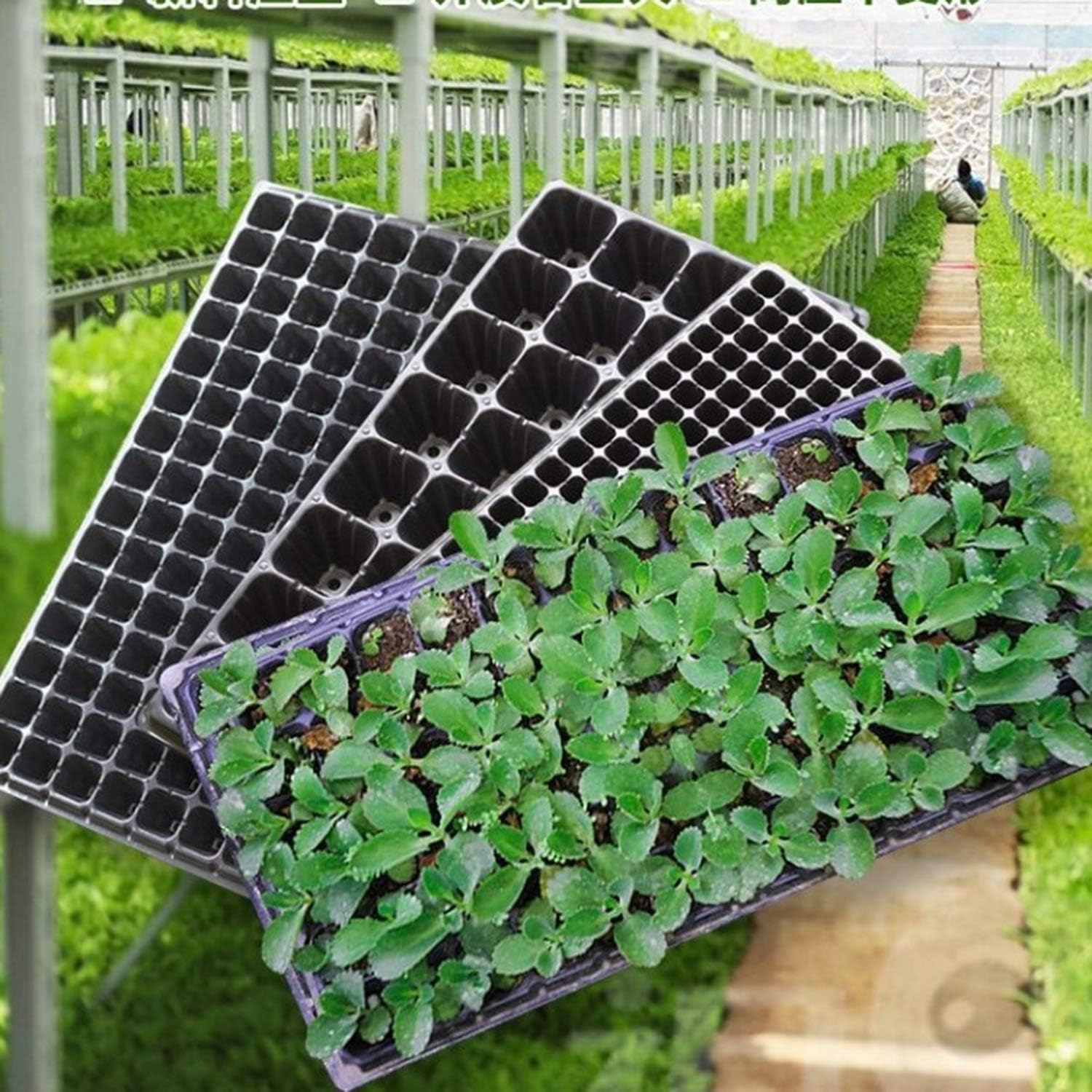 Rectangular Plant Tray - Seed Tray for Efficient Germination and Growth of Seedlings-Homelova