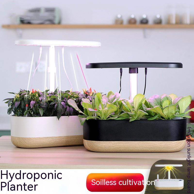 Intelligent Hydroponics Set for Indoors - Soil - Free Plant Cultivation at Home-Homelova