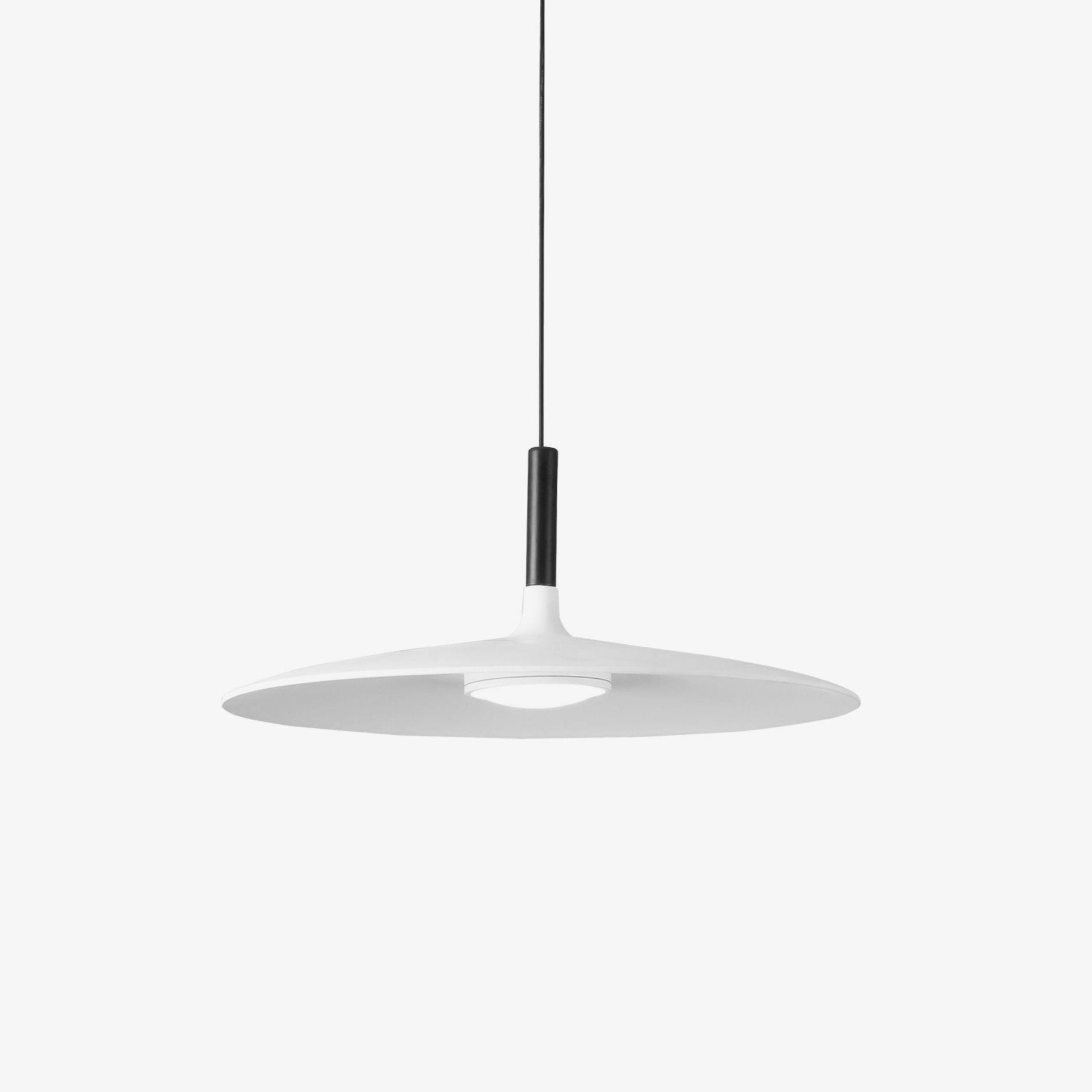Aplomb Metal Pendant Lamp-Homelova