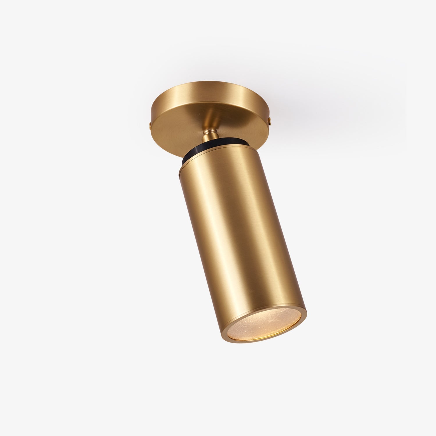 Horizon Brass Spot Light-Homelova