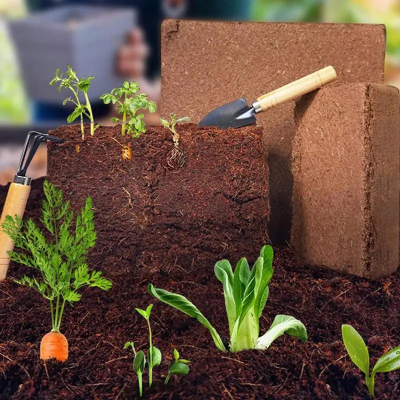 Fertilized Coconut Soil-Homelova