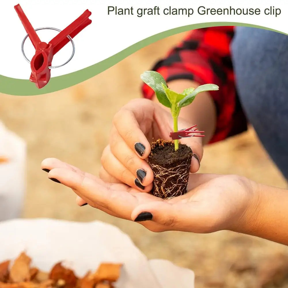 Plastic Grafting Clips for Garden Plants - Ideal for Vegetables and Plant Care-Homelova