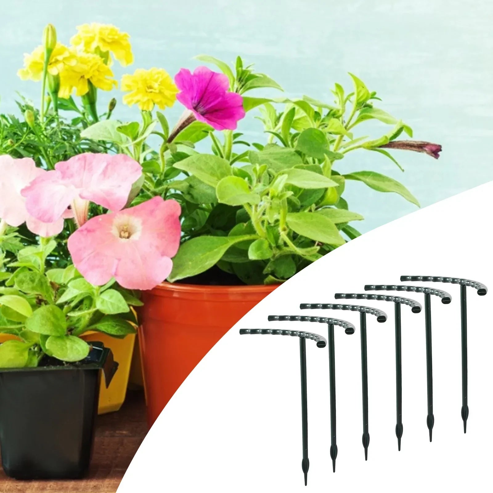 Climbing Support for Plants - Robust Support with Cage Design for Growth and Stability-Homelova