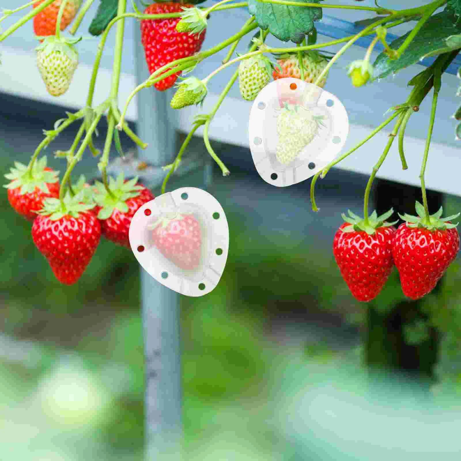 Heart - Shaped Vegetable Mould - Creative Moulded Bowl for Vegetables and Fruit-Homelova
