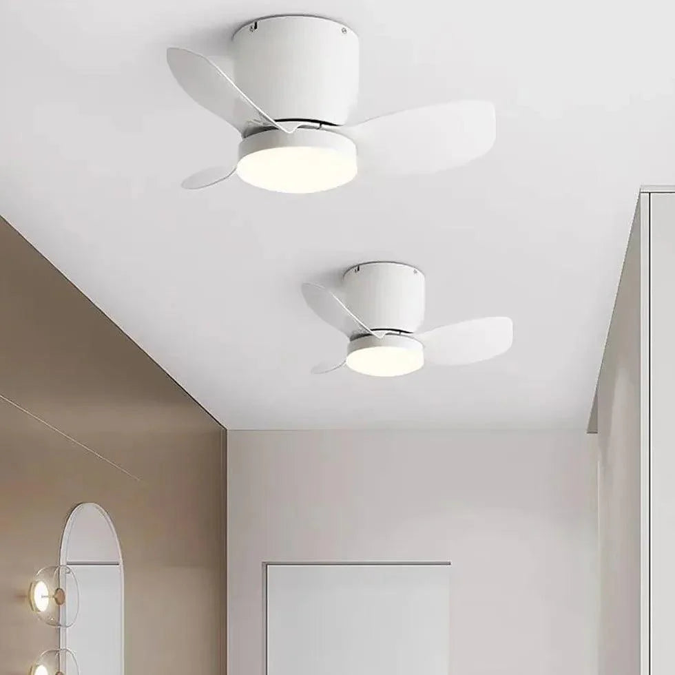 Three-Blade Acrylic Ceiling Fan with Light-Homelova